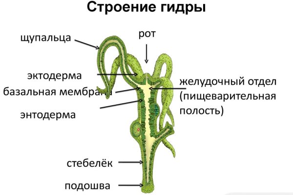 Кракен зеркало сегодня