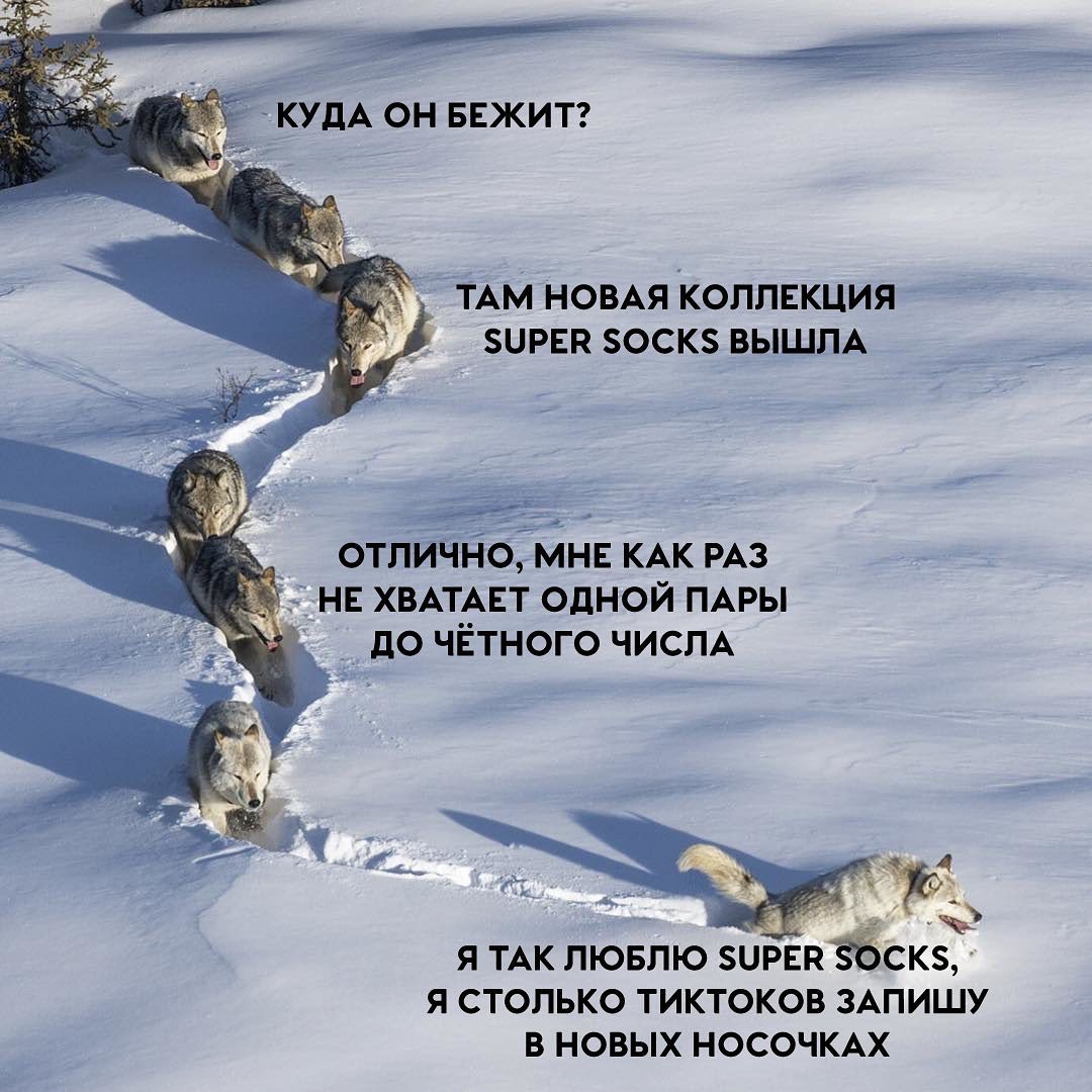 Кракен рабочая ссылка